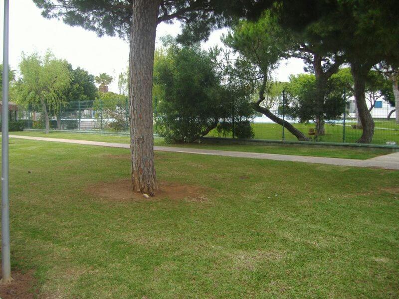Апартаменты Playa De La Barrosa La Almadraba IV Fase "Interior" B-3 Чиклана-де-ла-Фронтера Экстерьер фото